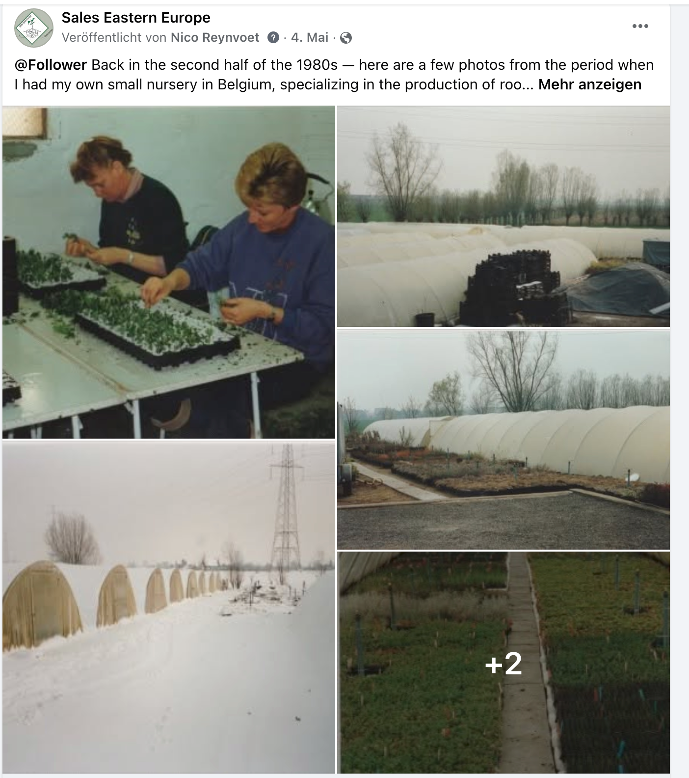 Razmnožavanje reznicama